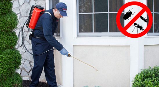 Nergiz Akrep İlaçlama böcek ilaçlama ve haşere kontrolü — ilaclama-tr.com
